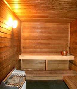 budowa sauny